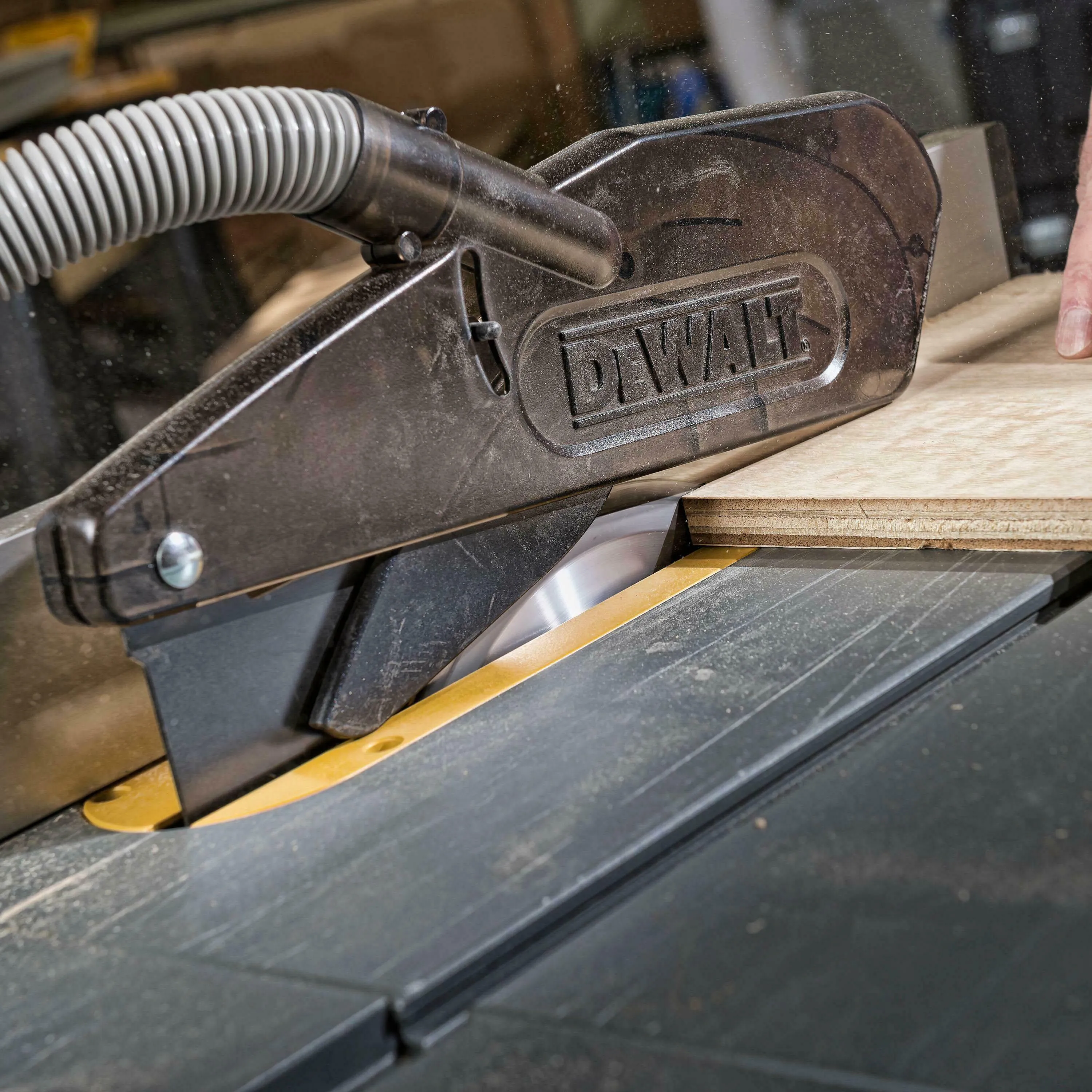 DT4322-QZ Cirkelzaagblad hout Ø 250 x 30 mm 40T 