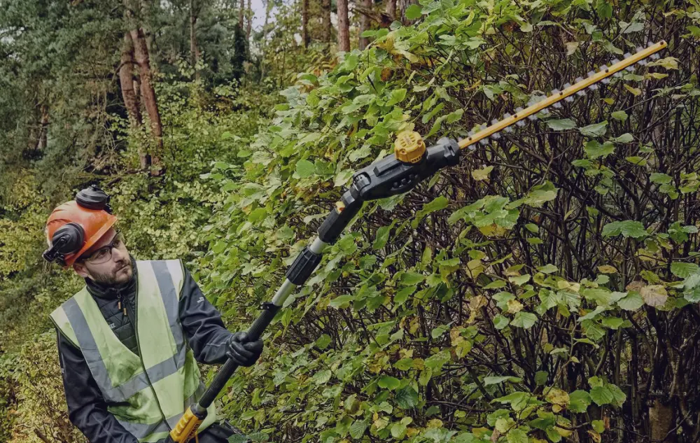 Snoeien in oktober: waarom en hoe?