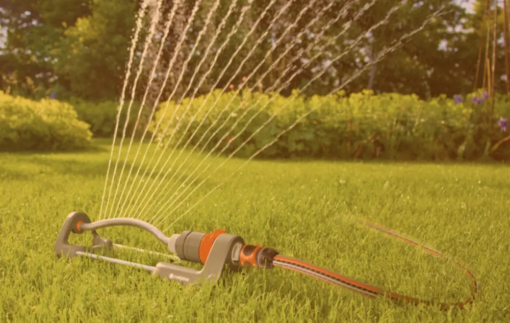 Calendrier de jardinage juin : la checklist ultime pour un jardin en pleine floraison