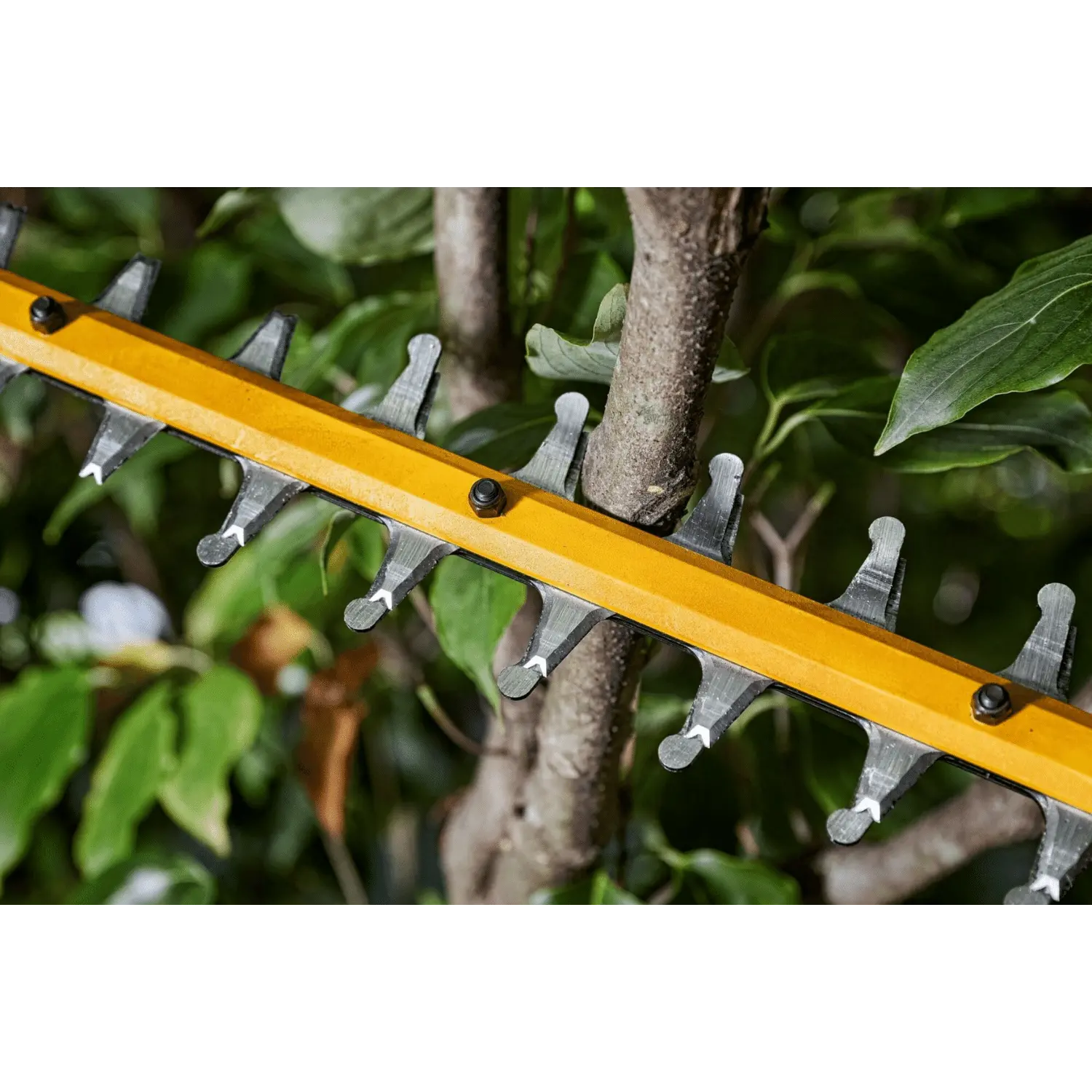 Taille-haie brushless 54V XR Flexvolt 65cm 31mm (sans batterie) - DCMHT573N-XJ